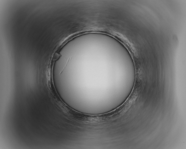 X0000103131220200809051602