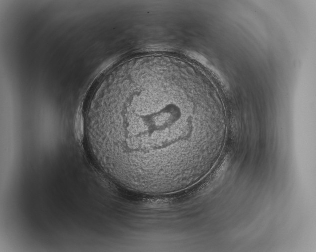 X0000103131221200809051602