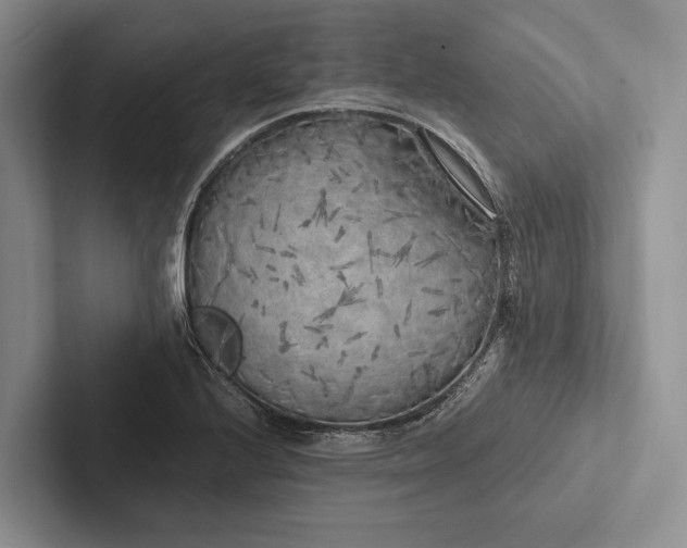 X0000103131224200809051602