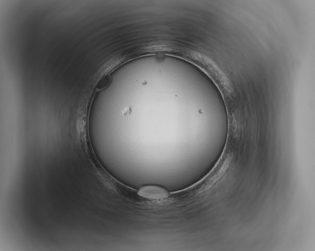 X0000103131225200809051602