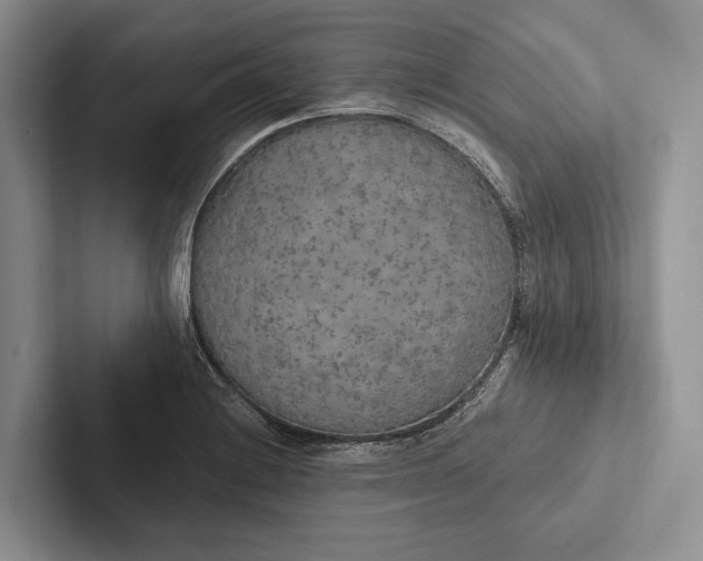 X0000103131228200809051602