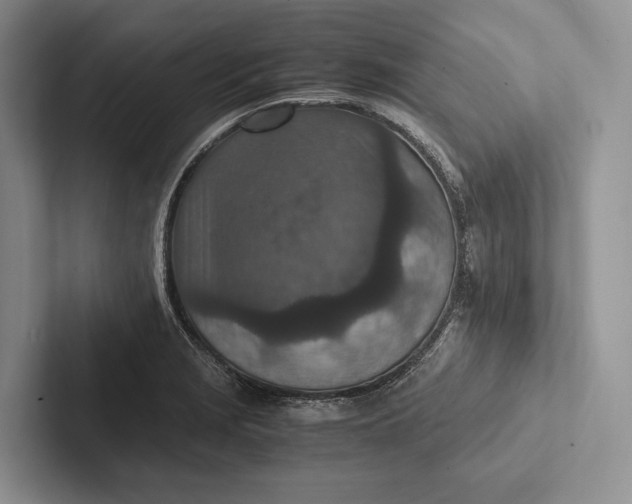 X0000103131229200809051602