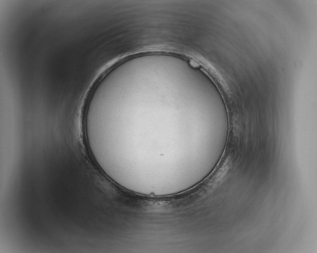 X0000103131230200809051602