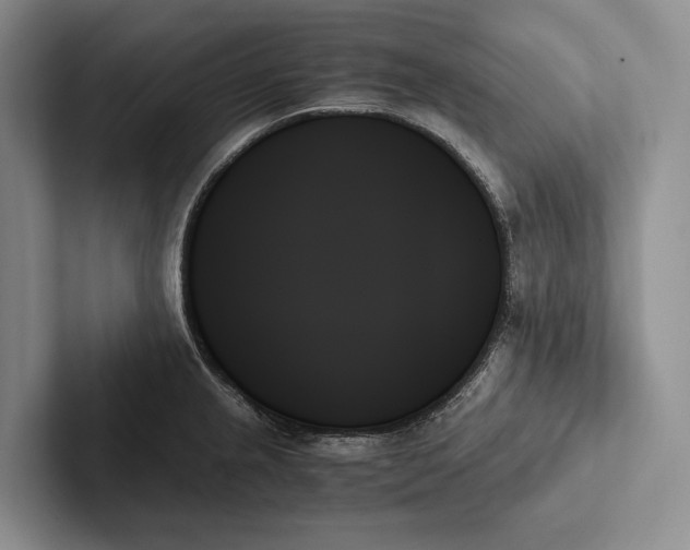 X0000103131237200809051602