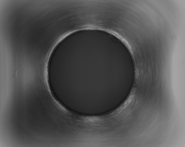 X0000103131239200809051602