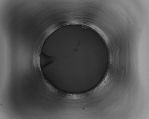 X0000103131241200809051602