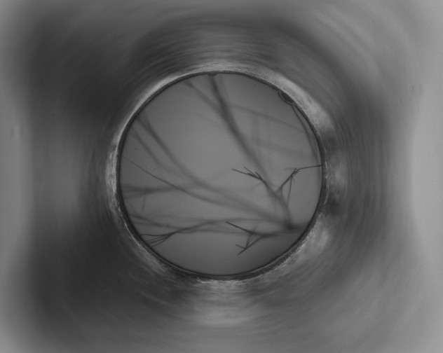 X0000103131244200809051602