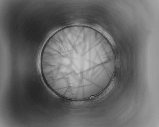 X0000103131247200809051602