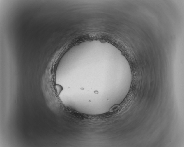 X0000103131249200809051601