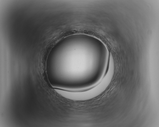 X0000103131253200809051601