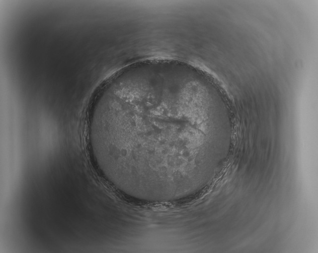 X0000103131255200809051601