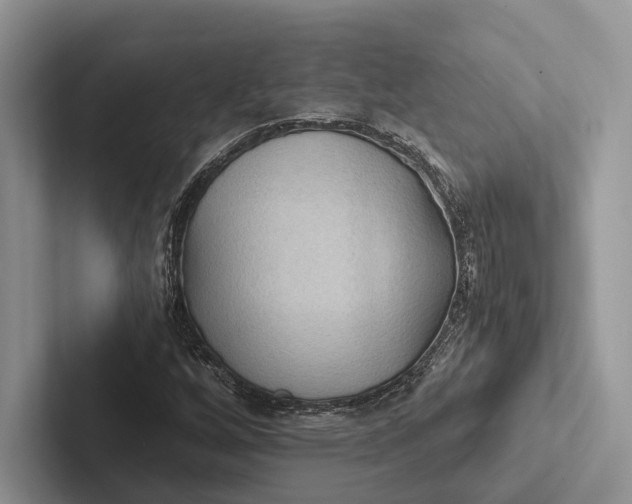 X0000103131256200809051601