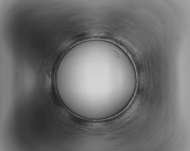 X0000103131257200809051601