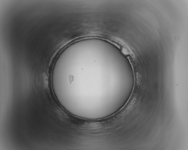 X0000103131260200809051601