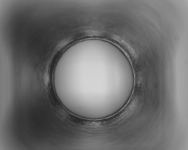 X0000103131261200809051601