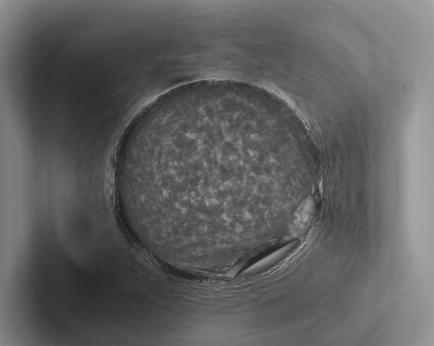 X0000103131263200809051601