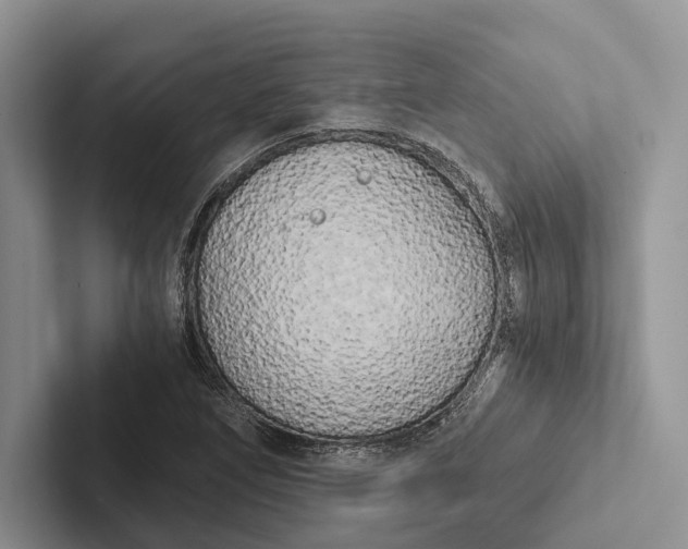 X0000103131266200809051601