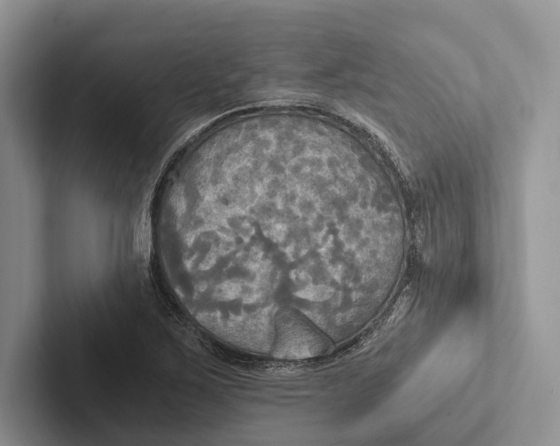 X0000103131267200809051601