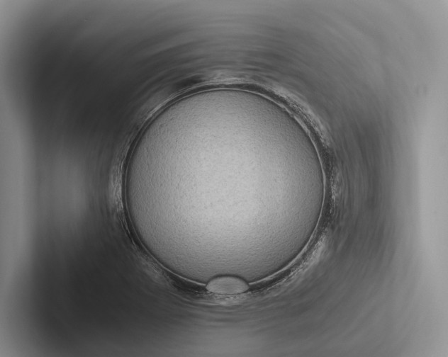 X0000103131273200809051601