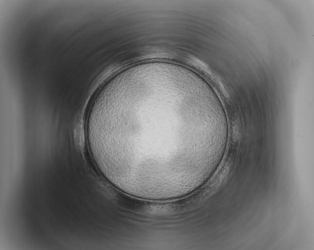 X0000103131274200809051601