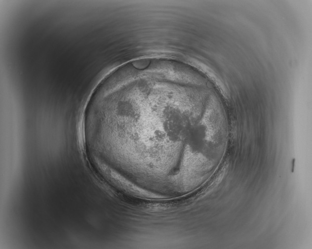 X0000103131275200809051601