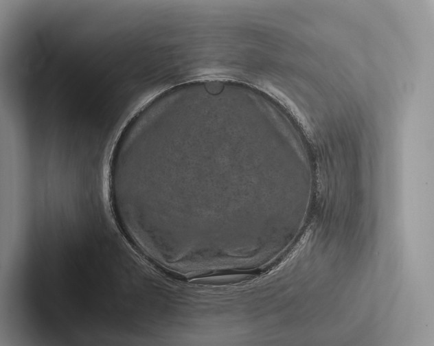 X0000103131277200809051601