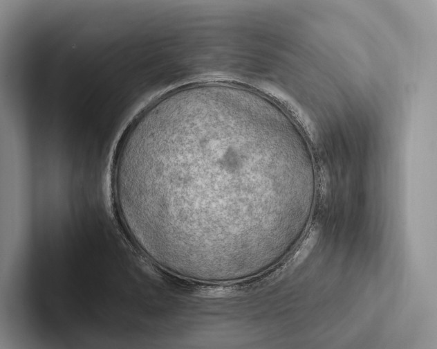 X0000103131278200809051601
