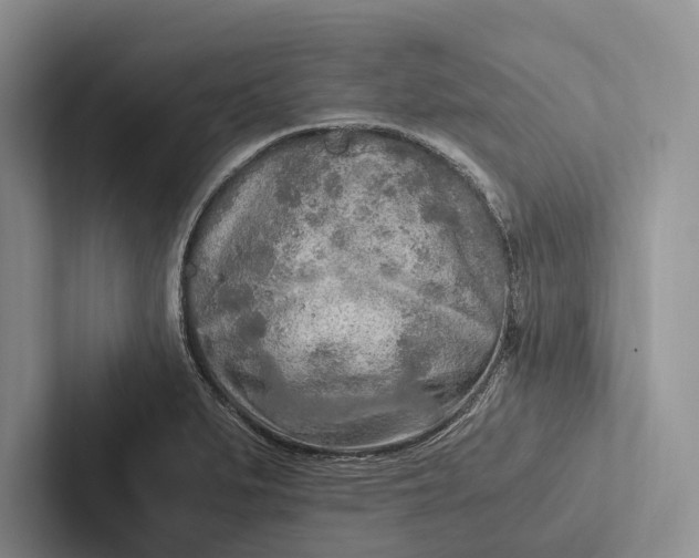 X0000103131279200809051601