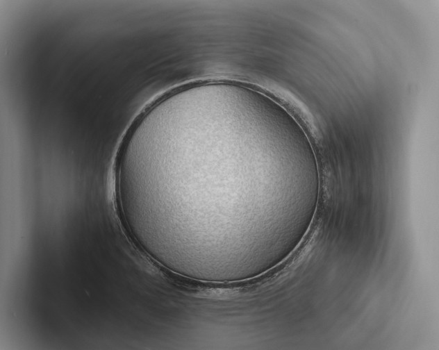 X0000103131280200809051601