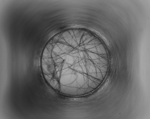 X0000103131281200809051601