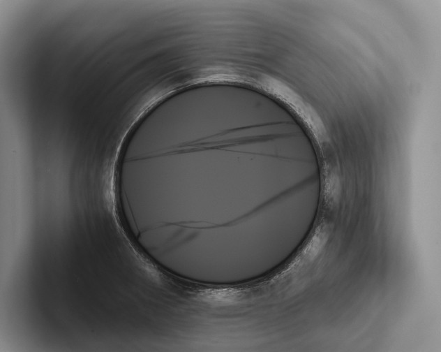 X0000103131282200809051601