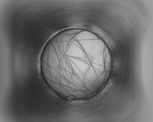 X0000103131284200809051601