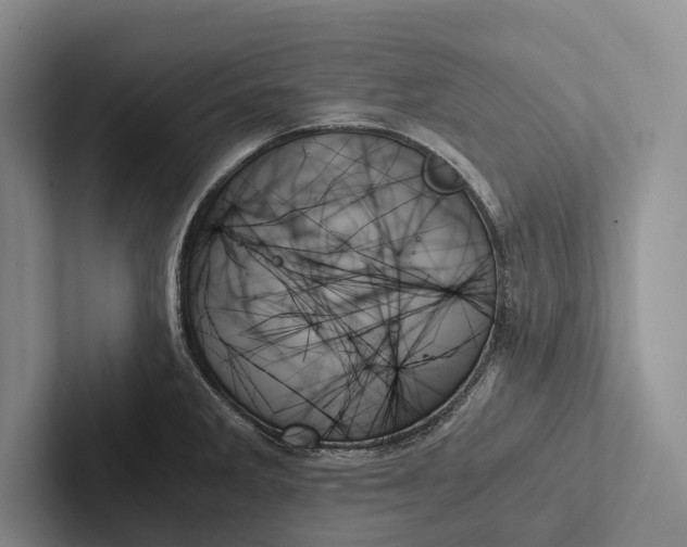 X0000103131285200809051601