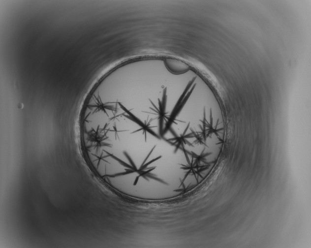 X0000103131287200809051601