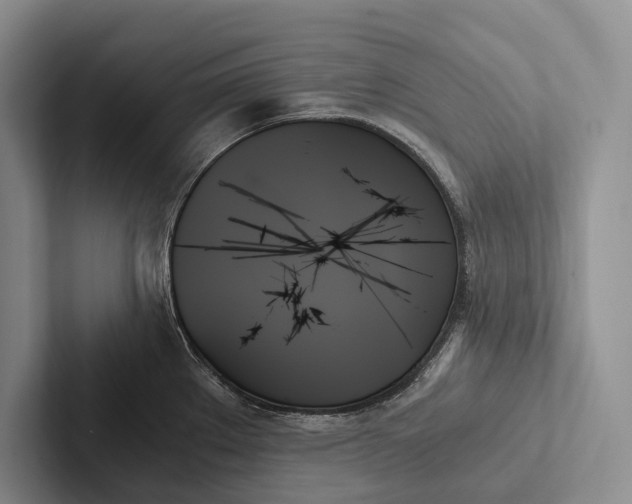 X0000103131289200809051601