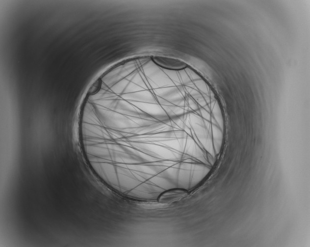 X0000103131296200809051601