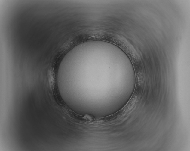 X0000103131298200809051600