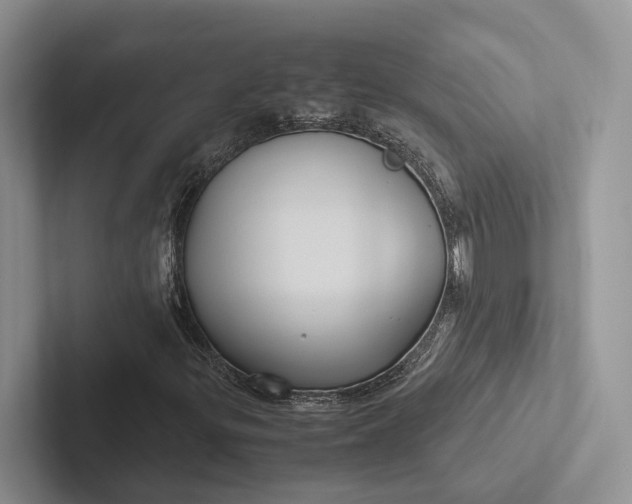 X0000103131299200809051600