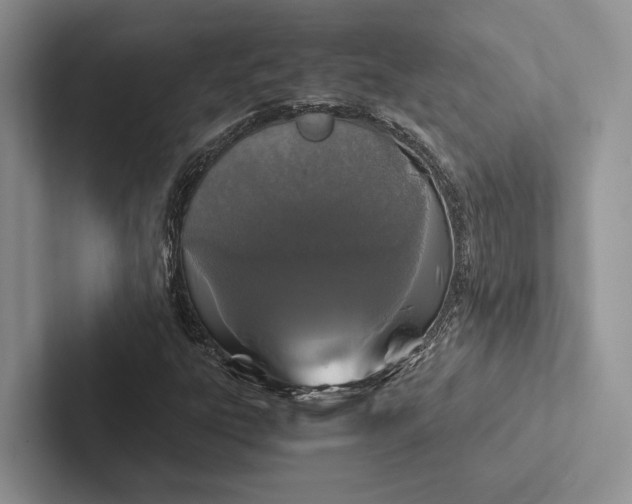X0000103131303200809051600