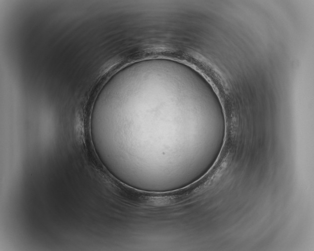 X0000103131305200809051600