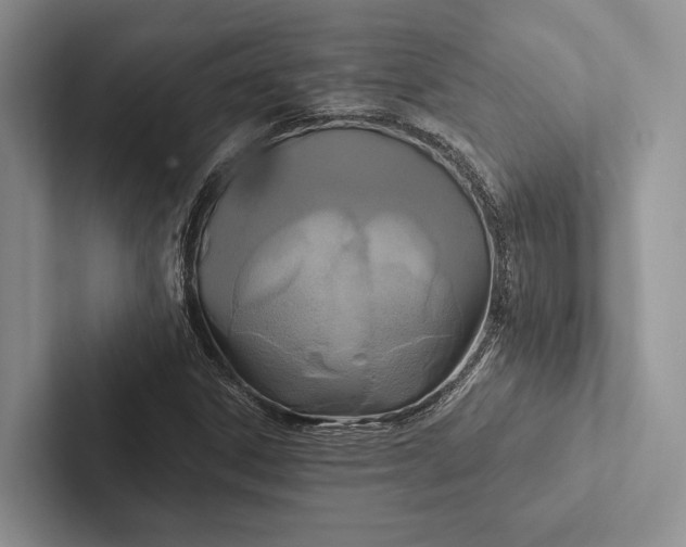 X0000103131306200809051600