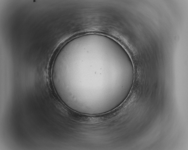 X0000103131308200809051600