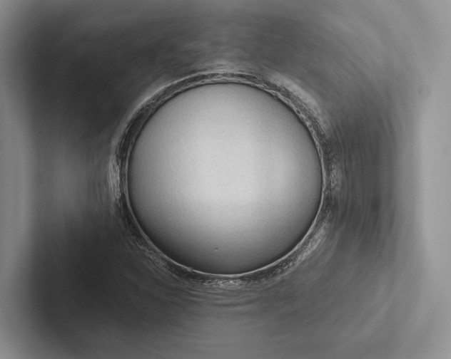 X0000103131310200809051600