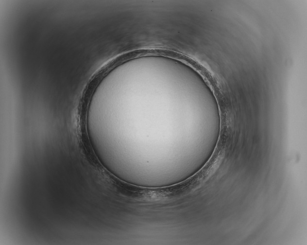 X0000103131311200809051600