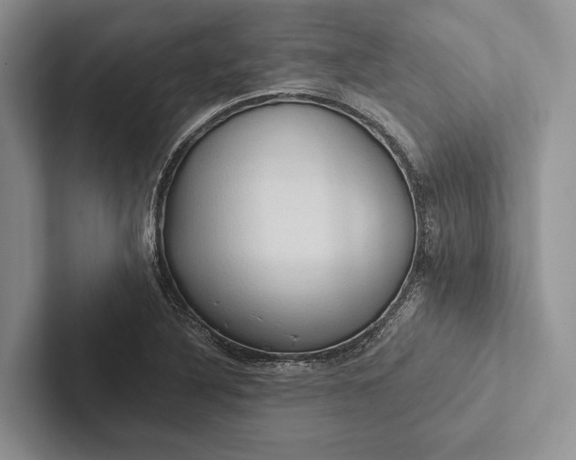 X0000103131316200809051600