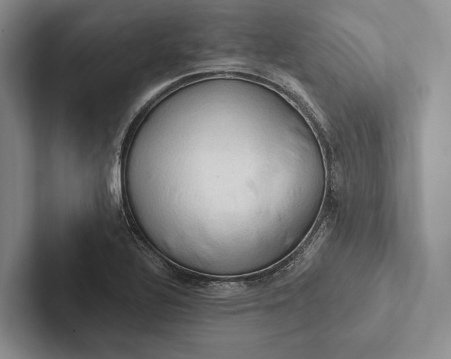 X0000103131320200809051600
