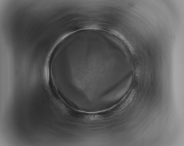 X0000103131323200809051600