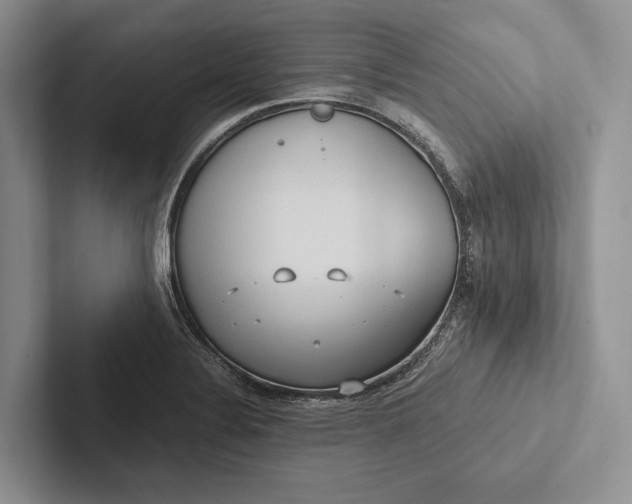 X0000103131324200809051600
