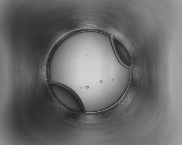 X0000103131326200809051600
