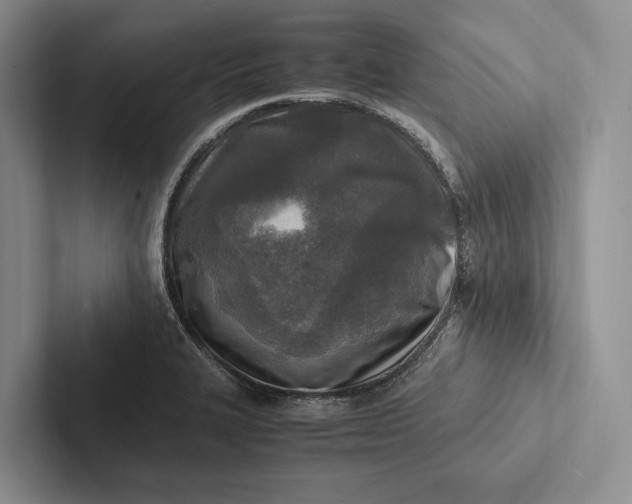 X0000103131327200809051600
